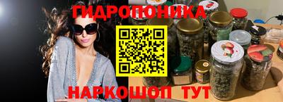 крисы Апшеронск