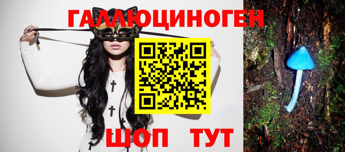 Баксан  Псилоцибиновые грибы MAGIC MUSHROOMS  Вход с VPN  Псилоцибиновые грибы GOLDEN TEACHER 